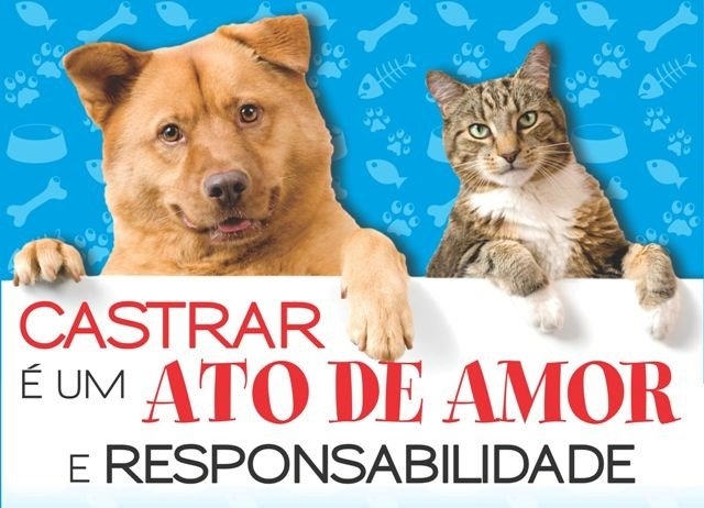 Pereira Barreto inicia programa de castração animal