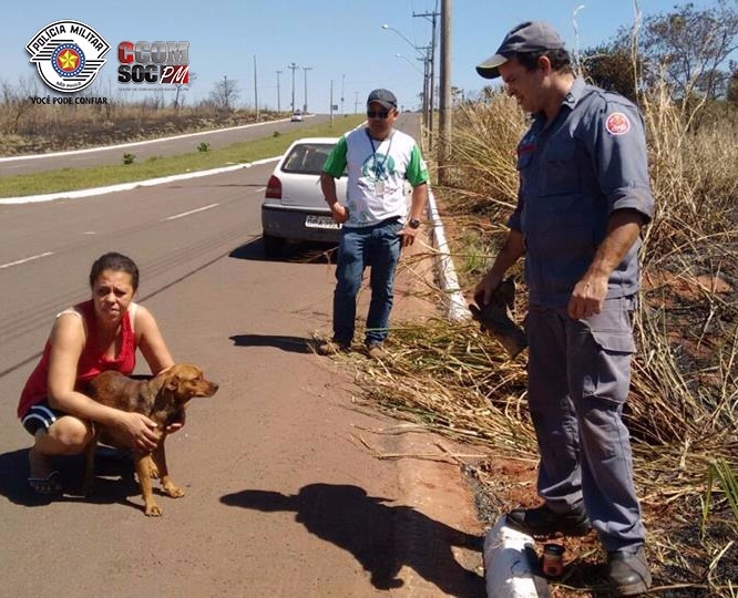 Presídios da região Oeste realizam diversas apreensões com visitas de presos
