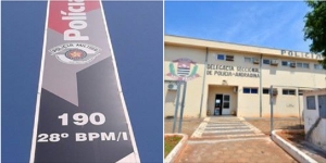 Menina de 5 anos morre picada por escorpião em Araçatuba