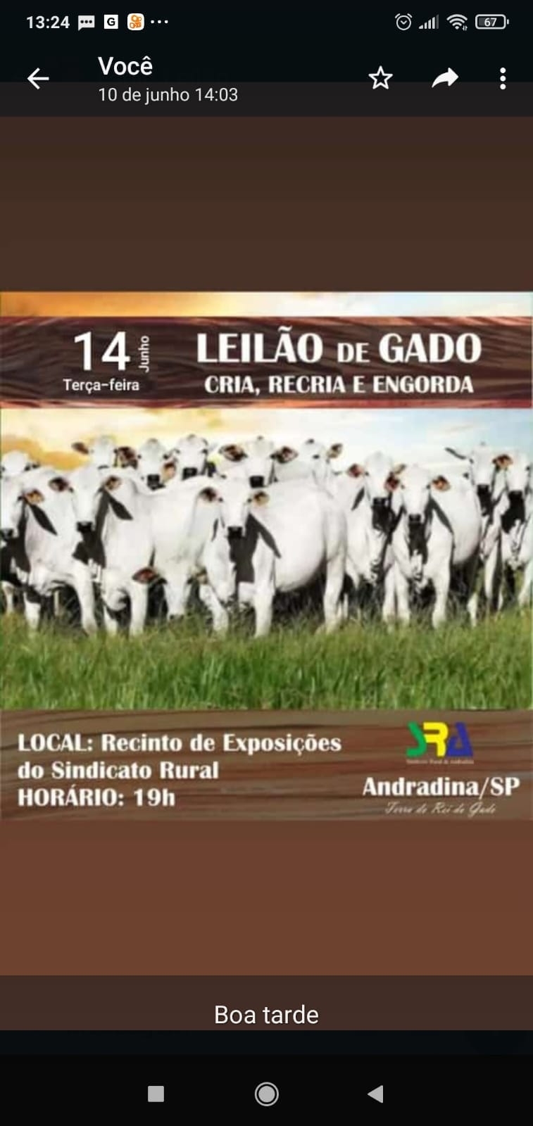 Nesta terça tem Leilão de Gado no Recinto de Exposições em Andradina