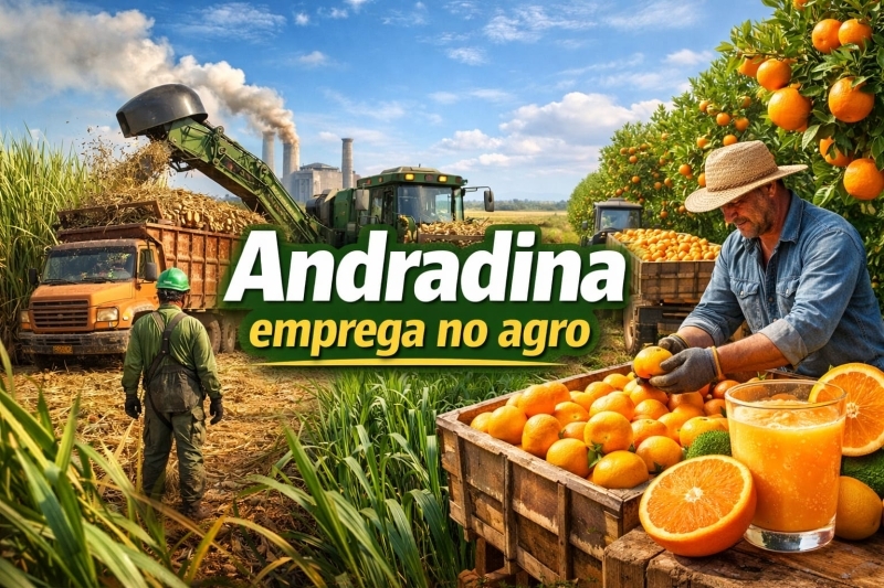 Andradina concentra mutirões de emprego no agroindustrial nesta sexta-feira