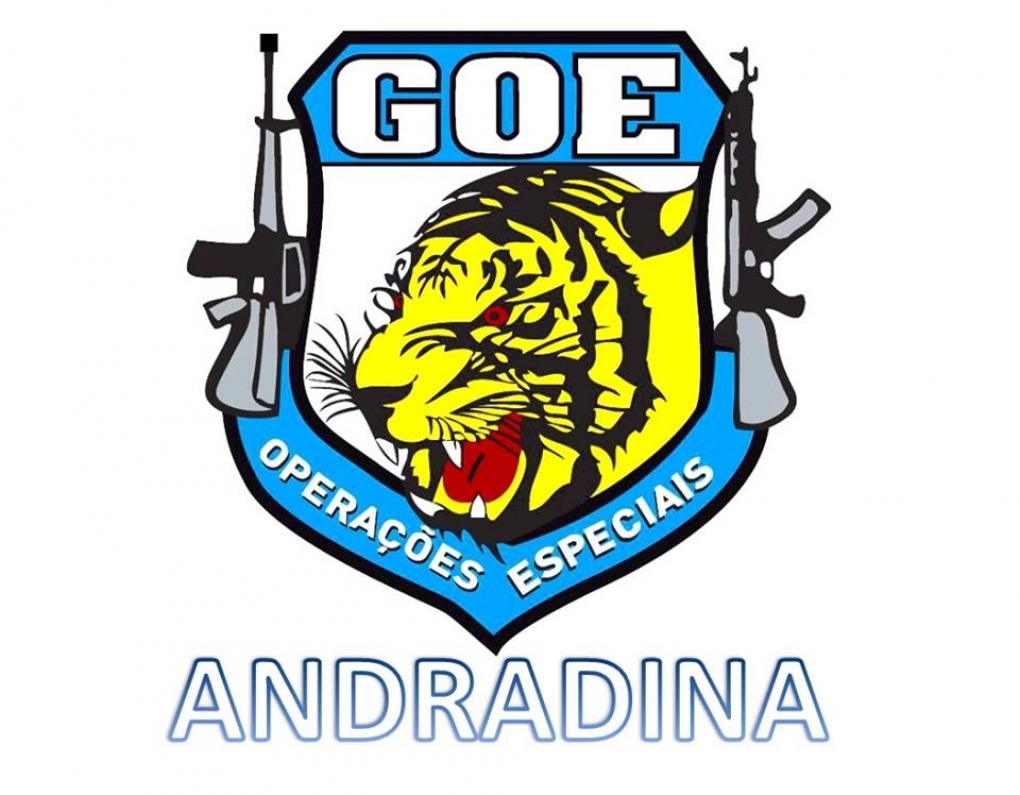 Polícia Civil de Andradina detém gerente suspeito de aplicar um golpe na empresa onde trabalhava