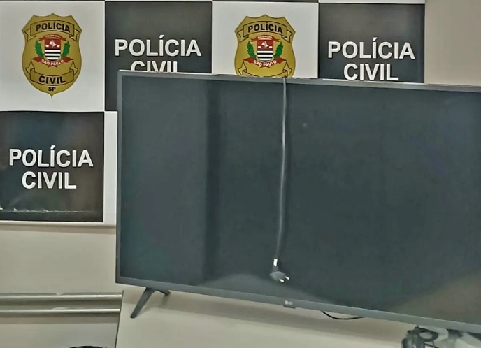 Polícia Civil de Castilho recupera televisão furtada