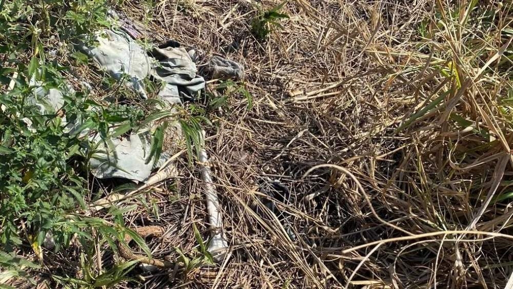 Polícia Civil de Pereira Barreto tenta identificar ossada humana encontrada em fazenda