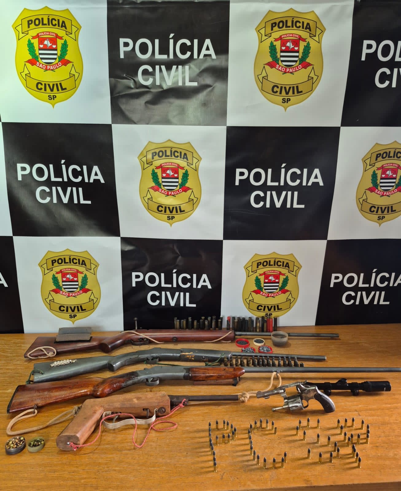 Polícia Civil de Guaraçaí faz operação na zona rural e prende morador com 05 armas de fogo e munições