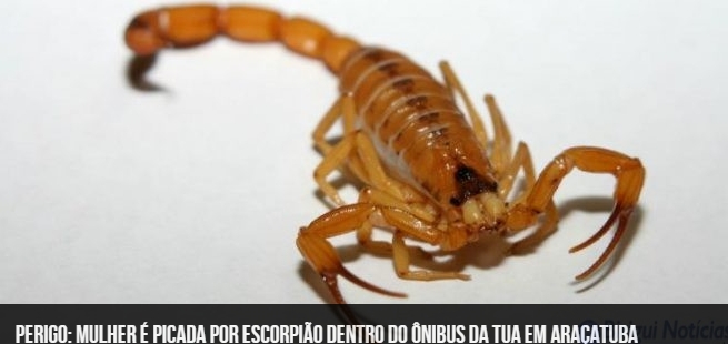 Em Três Lagoas colaboradores celebram mês de aniversário no projeto “Aniversariantes do Mês" do Hospital Auxiliadora