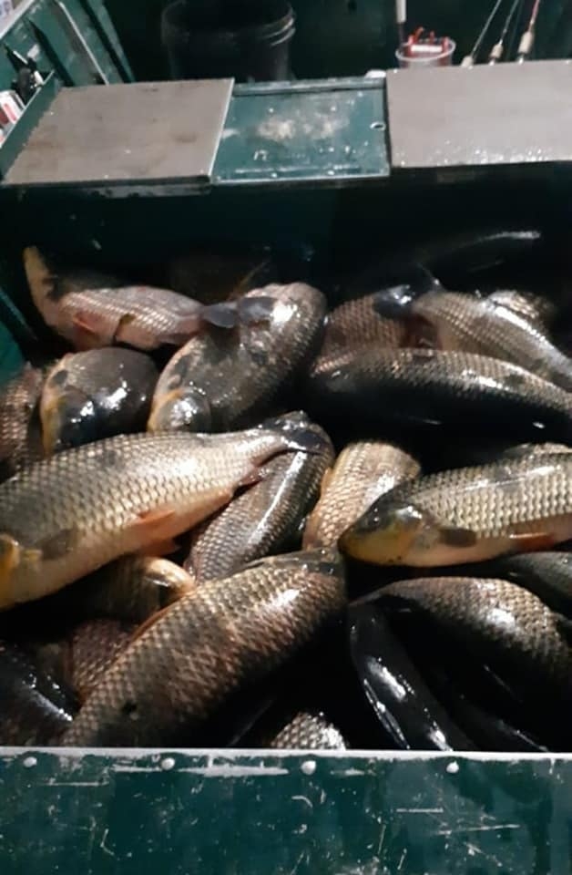 Moradores de Castilho solicitam maior fiscalização da Polícia Ambiental no rio Paraná