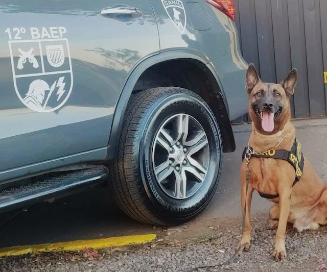 BAEP de Araçatuba captura 02 condenados da justiça, alvo de combate ao crime cidade de Guararapes