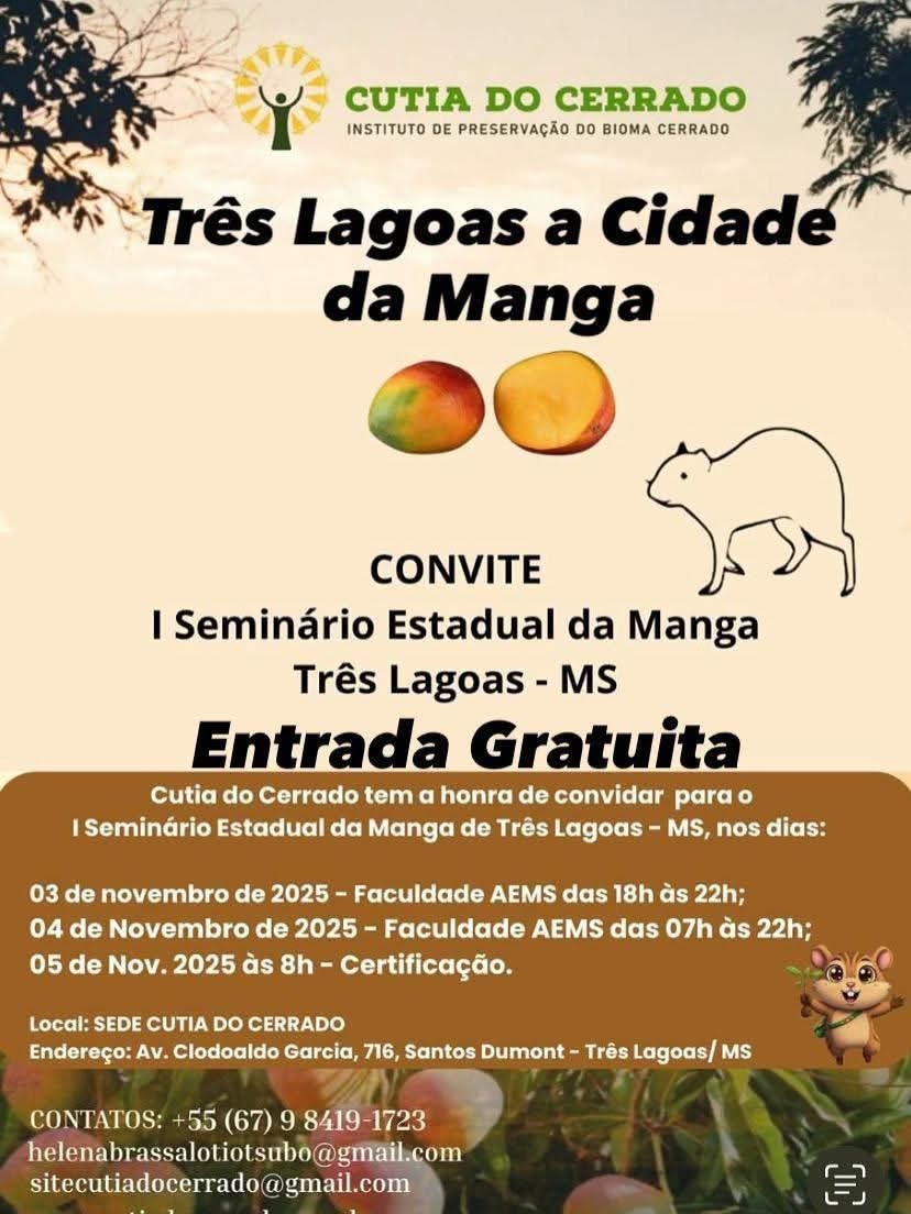 TRÊS LAGOAS A CIDADE DA MANGA