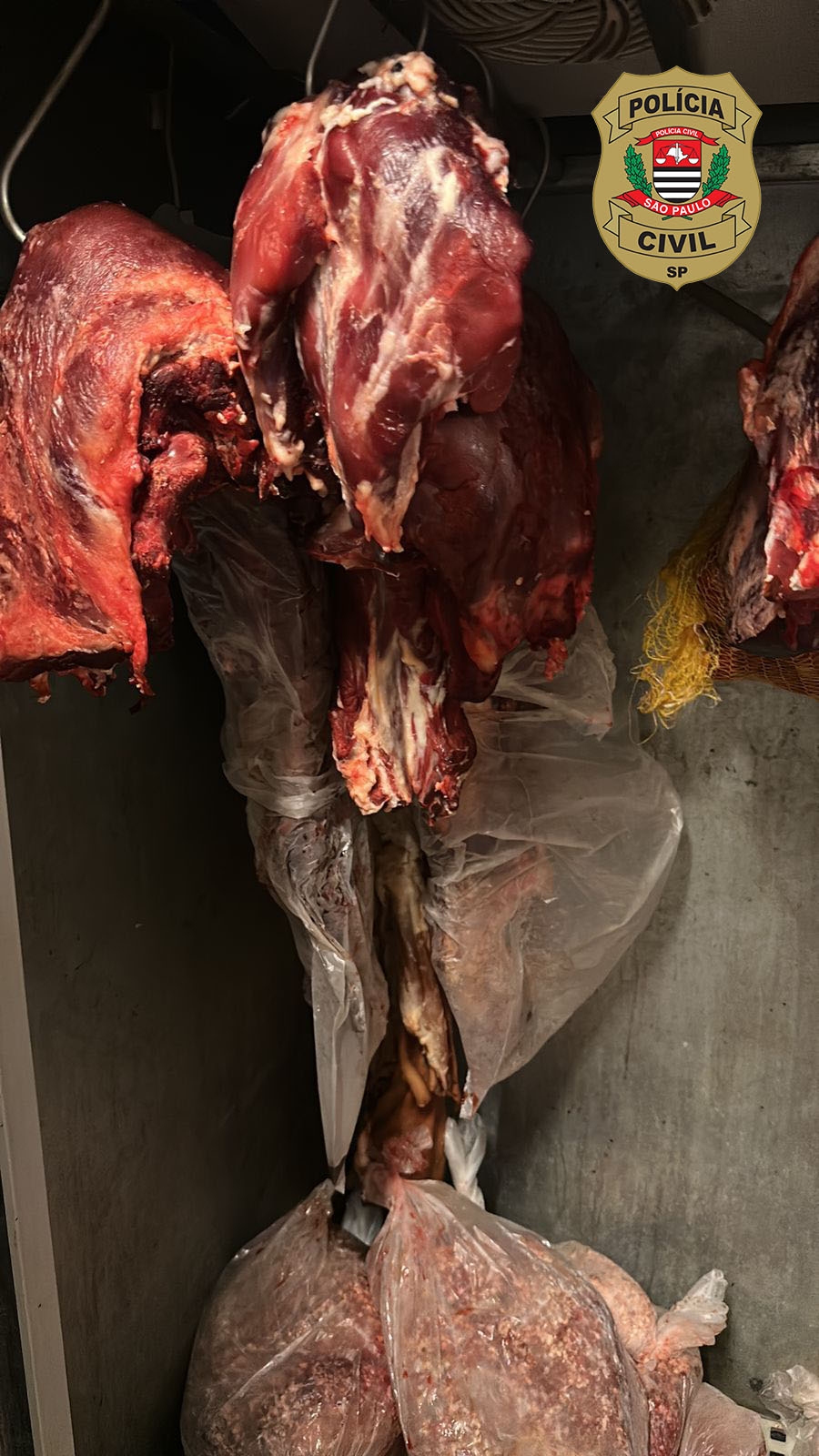 EM OPERAÇÃO INTEGRADA, POLÍCIA CIVIL DE PIRAPOZINHO APREENDE CARNE IMPRÓPRIA PARA CONSUMO