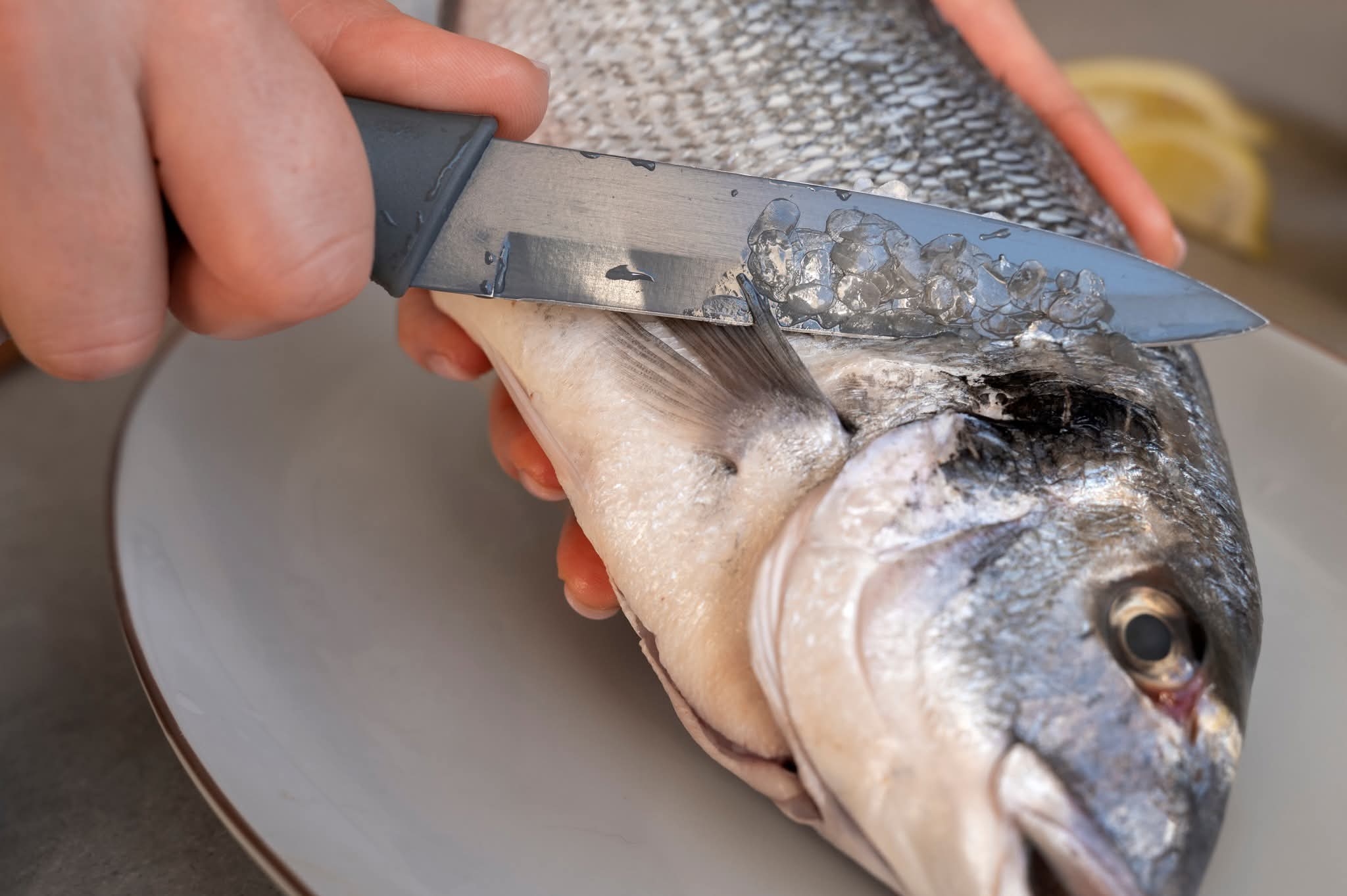 Mulher de 60 anos morre após engasgar com espinha de peixe em Três Lagoas