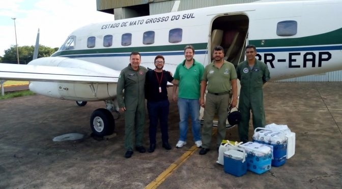 Alunos de Medicina Veterinária da AEMS visitam fazenda em Castilho-SP