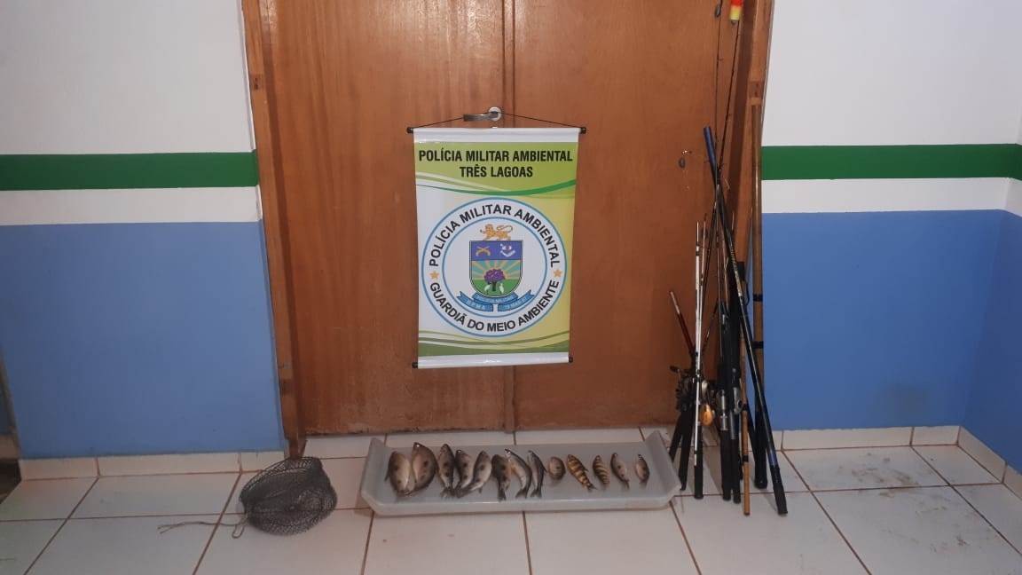 PMA de Três Lagoas prende e autua pescador em R$ 1 mil com pescado abaixo da medida e acima da cota permitidas e apreende pescado, veículo e petrechos de pesca