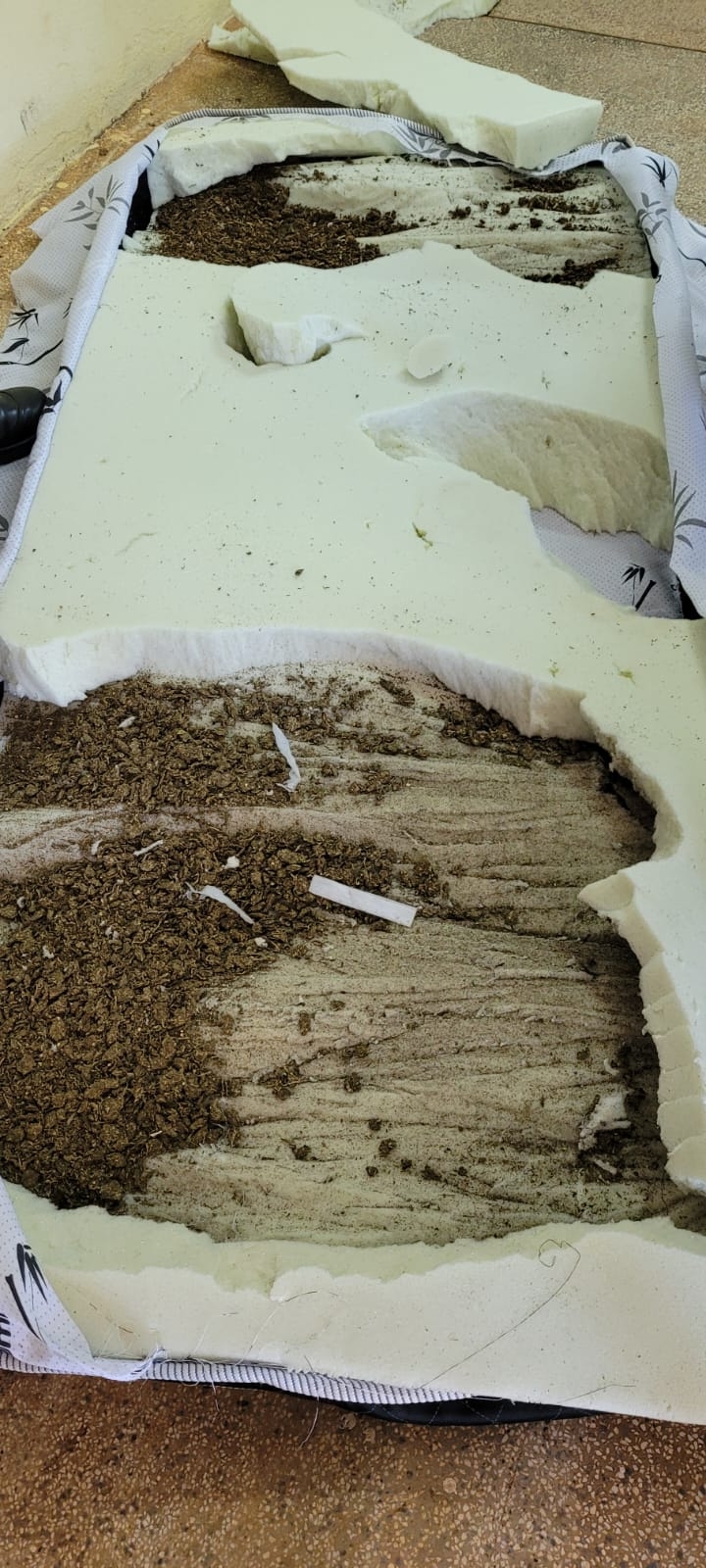 Polícia Penal de Três Lagoas detém advogada em flagrante com colchão recheado de maconha
