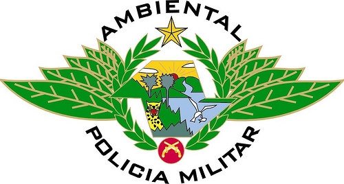 Polícia Ambiental autua proprietário em Murutinga do Sul por corte ilegal de árvores nativas