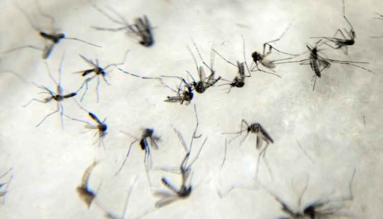 28º Batalhão de Andradina recebe o reforço de 14 novas viaturas