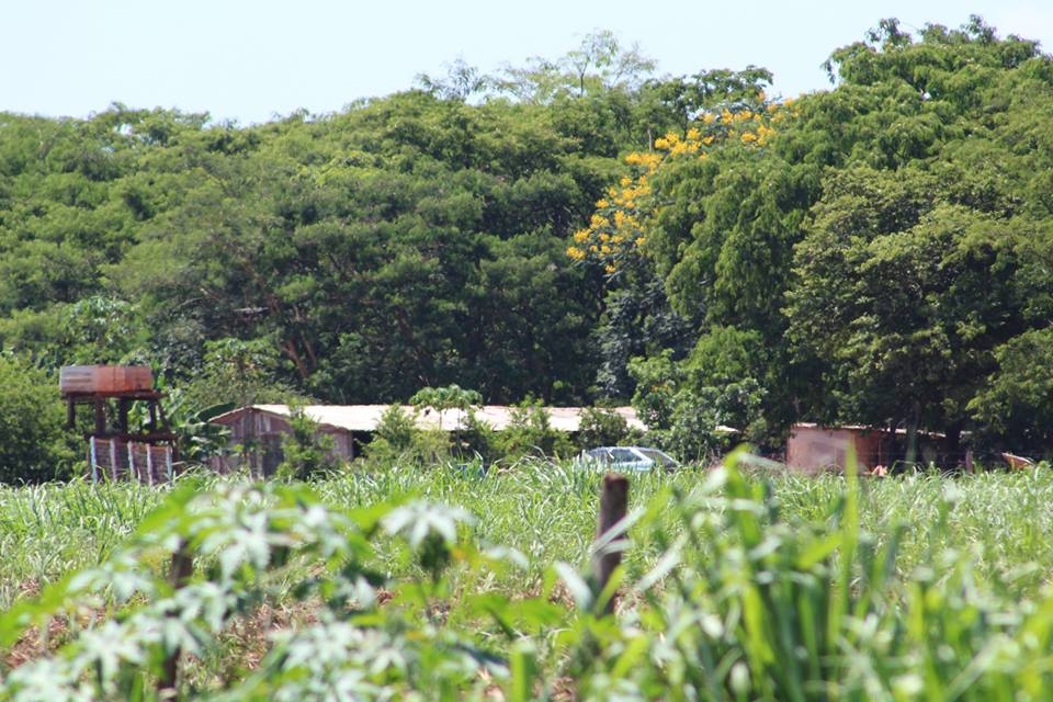 Em Três Lagoas com sono e cambaleando, idoso quase atropela garis ao dirigir embriagado
