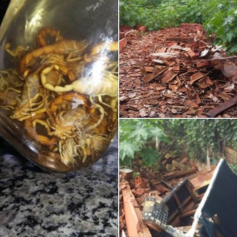 ROTAI de Três Lagoas cumpre mandado de prisão no bairro Santa Luzia