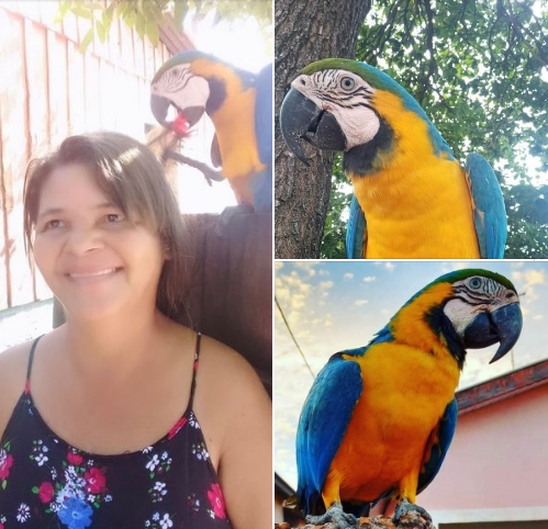 Uma singela homenagem a Lalão o Xodó da cidade de Guaraçaí