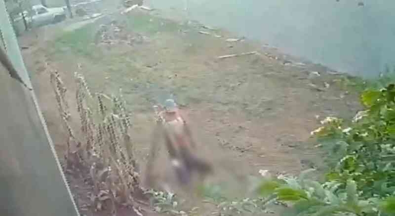 Homem é flagrado em vídeo estuprando cadela grávida em terreno baldio em Birigui