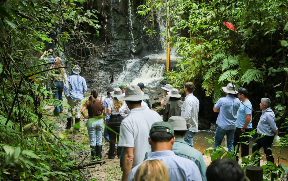 Parque do Pombo de Três Lagoas recebe visita de investidores europeus em parceria com a Lacan Florestal