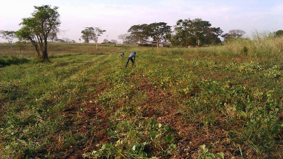 Radiopatrulha de Andradina flagra morador da Vila Mineira com R$ 400,00 em notas falsas