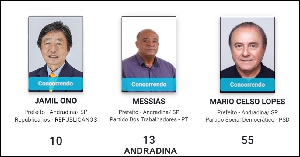 Eleição em Andradina movimenta 03 candidatos para prefeito e 233 candidatos para vereador