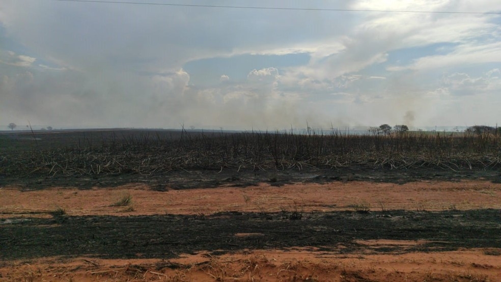 Incêndio atinge canavial e mobiliza bombeiros em Andradina