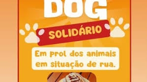 Protetora de animais realiza ação entre amigos para custear cirurgia de gatinho resgatado em Andradina