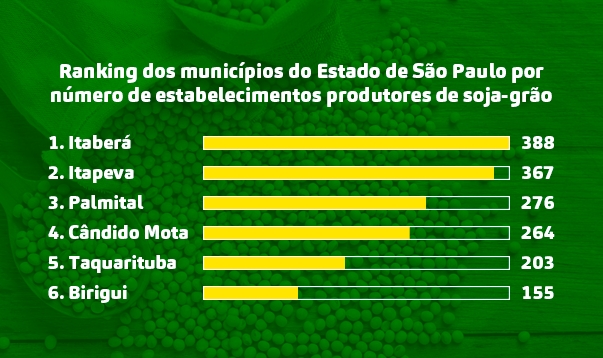 Riquezas do agronegócio: Birigui ocupa 6ª posição em ranking estadual de produtores de soja