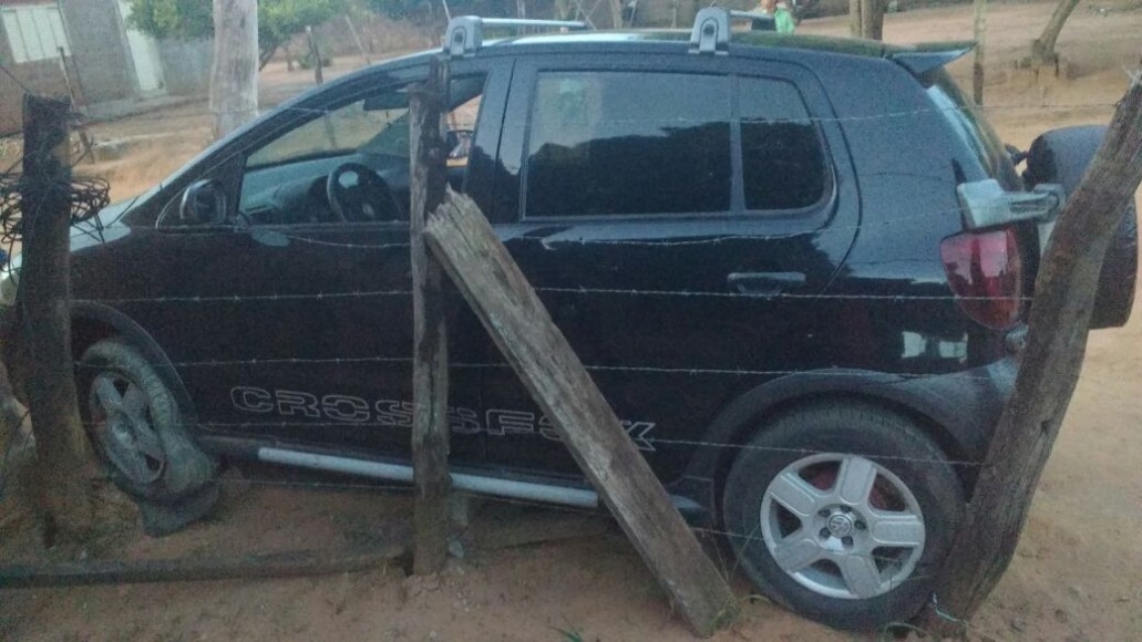 GARRAS apreende 12 cabeças de gado em Três Lagoas