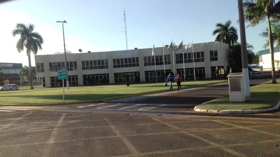 EM ANDRADINA ARROBA DO BOI ATINGE R$ 300,00