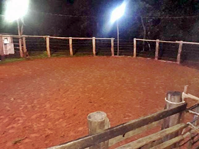 Rodeio Clandestino em Pereira Barreto colocou em risco as vidas de centenas de pessoas