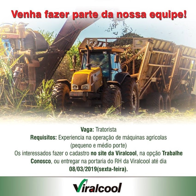 Frente de Trabalho da Prefeitura Municipal de Andradina faz limpeza do Cemitério
