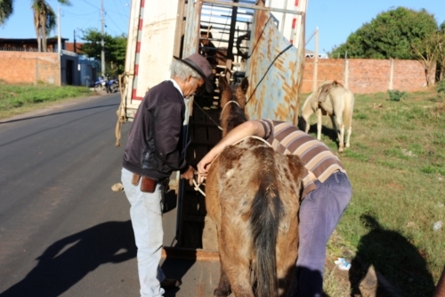 Polícia Civil de Fernandópolis quer saber se Santa Casa de Andradina tem ou não gestão compartilhada com a Santa Casa de Fernandópolis