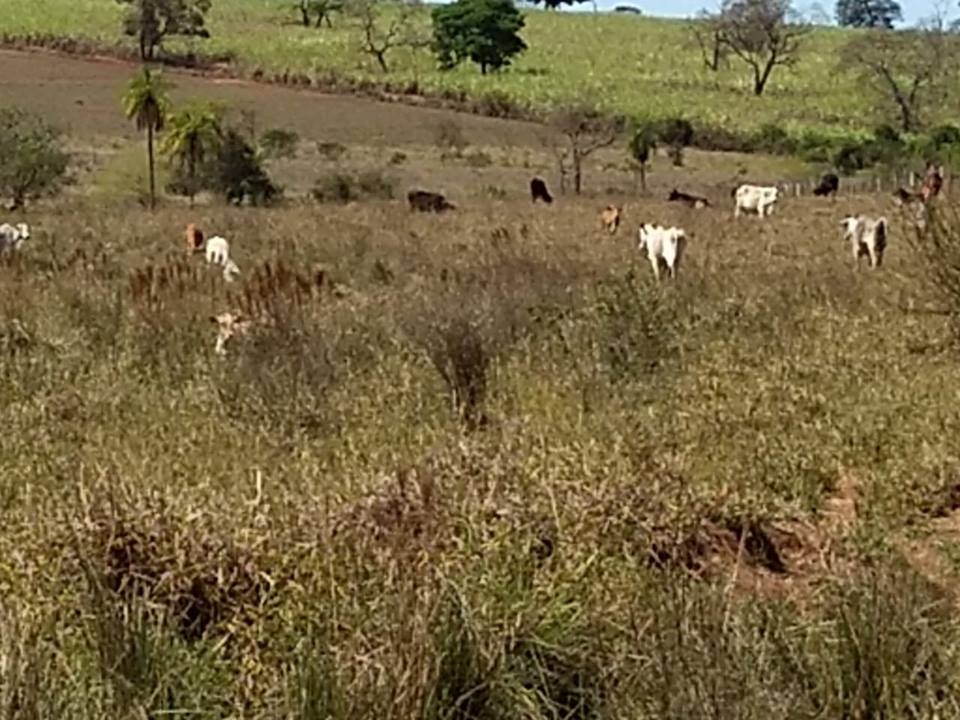 Araçatuba supera meta do IDEB