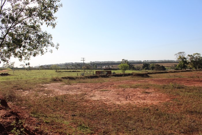 Policia Civil de Guararapes ao cumprir mandado de busca flagrou dezenas de pássaros engaiolados em propriedade rural