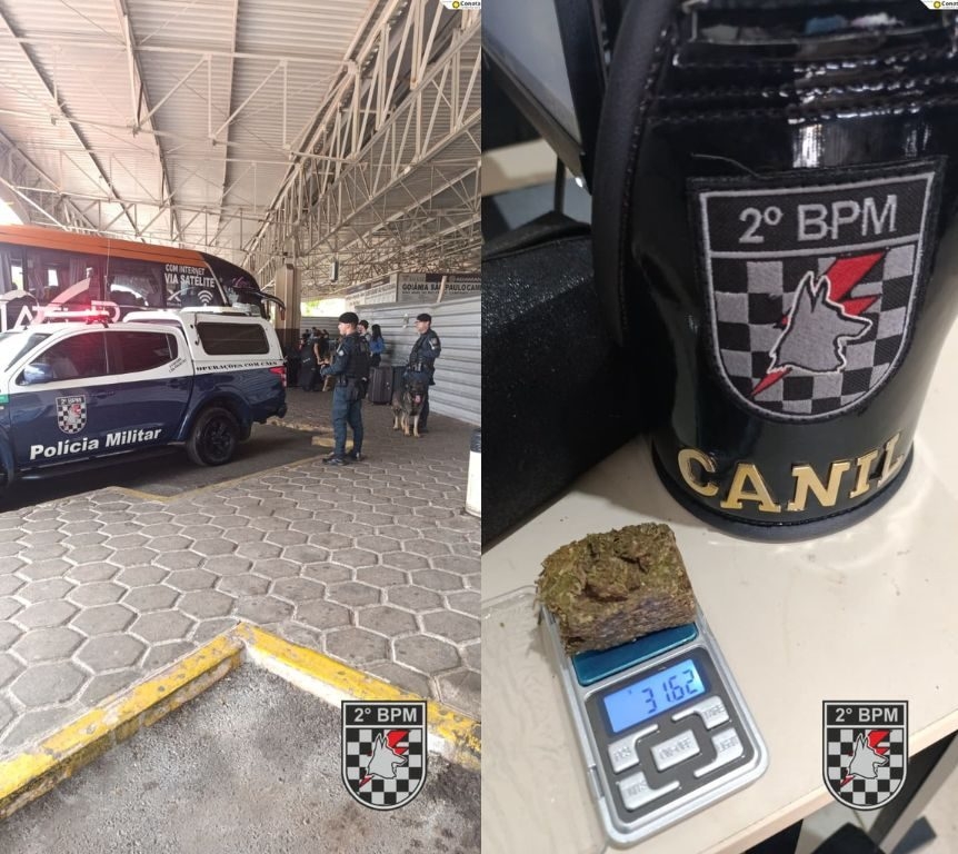 Cão farejador da PM localiza droga em bolsa durante fiscalização no terminal rodoviário de Três Lagoas