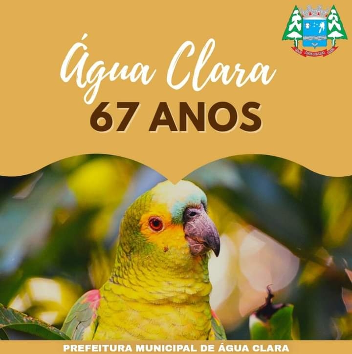 Eldorado Brasil abre 30 vagas para início imediato em Água Clara