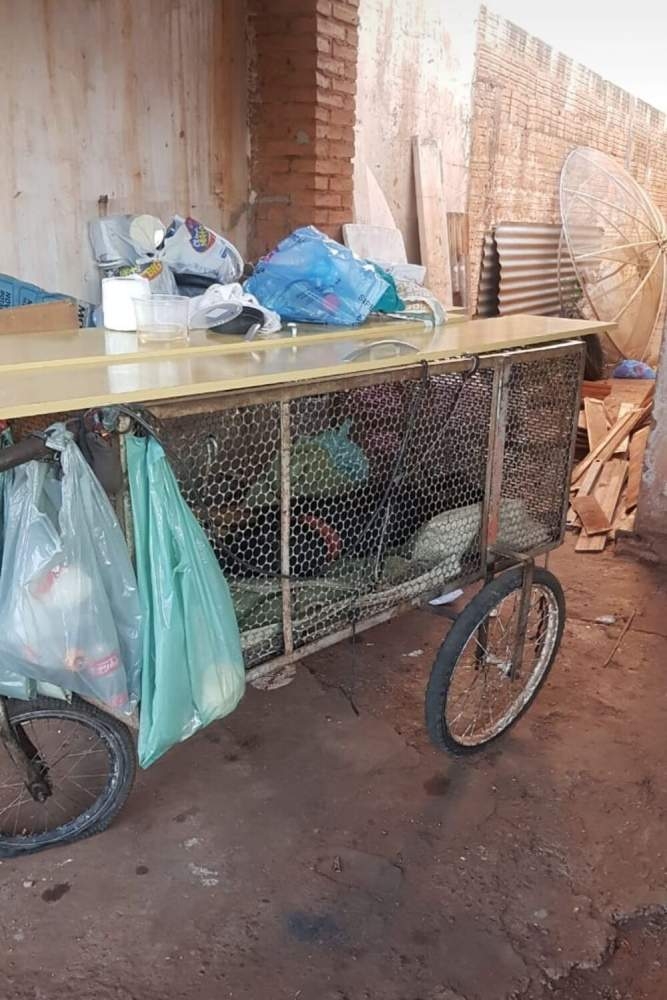 Em Andradina Prefeitura e Ministério Público se omitem e animais domésticos morrem sem acolhida