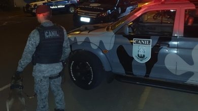 REGIÃO: Polícia Militar e Canil de Três Lagoas encontram drogas em carro ocupado por 5 pessoas