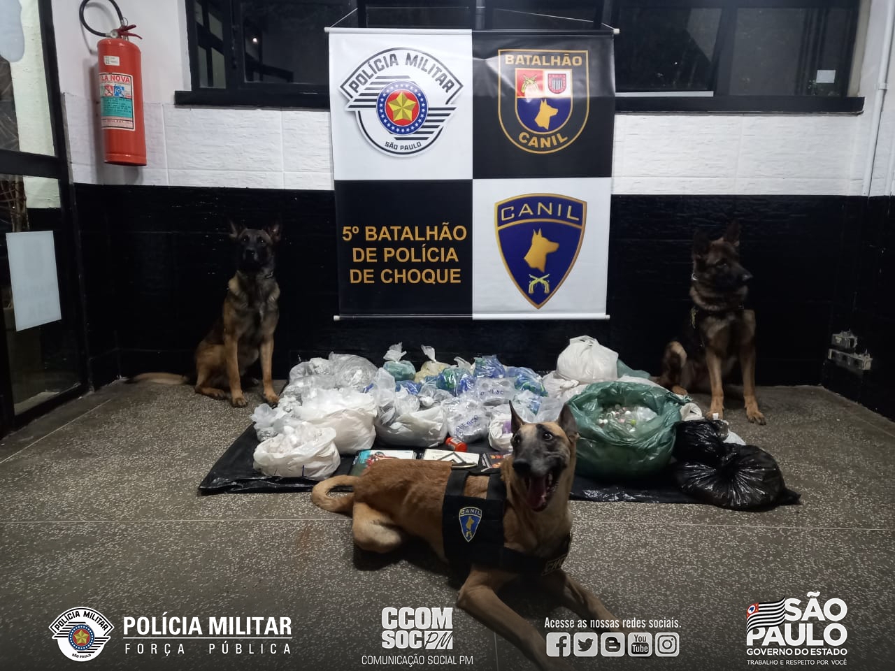 POLICIAIS MILITARES APREENDEM GRANDE QUANTIDADE DE DROGAS NA COMUNIDADE DE PARAISÓPOLIS
