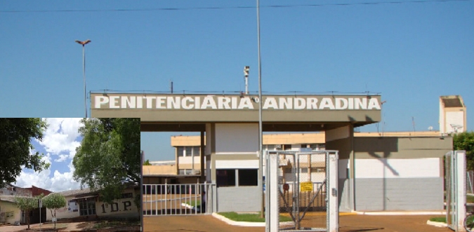 APAE de Andradina agradece os voluntários que contribuíram com a Promoção da Pizza