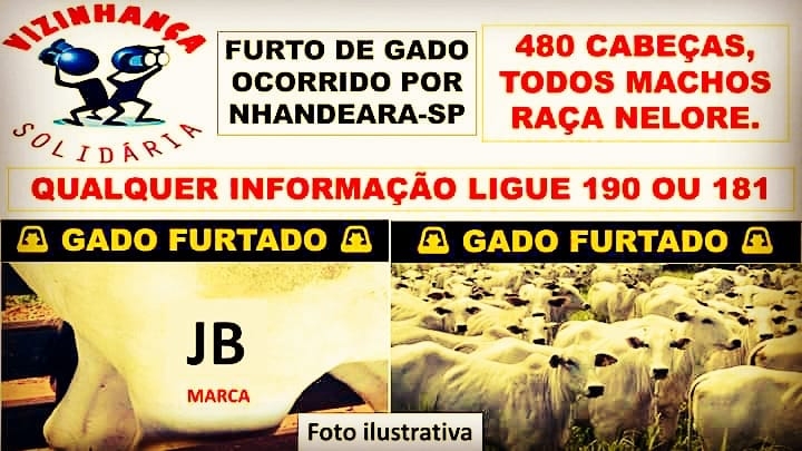 Alerta furto de 480 cabeças de gado raça nelore ocorrido em Nhandeara