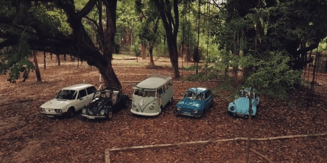 Exposição reabre zoológico e deverá ter até 300 carros antigos em Araçatuba