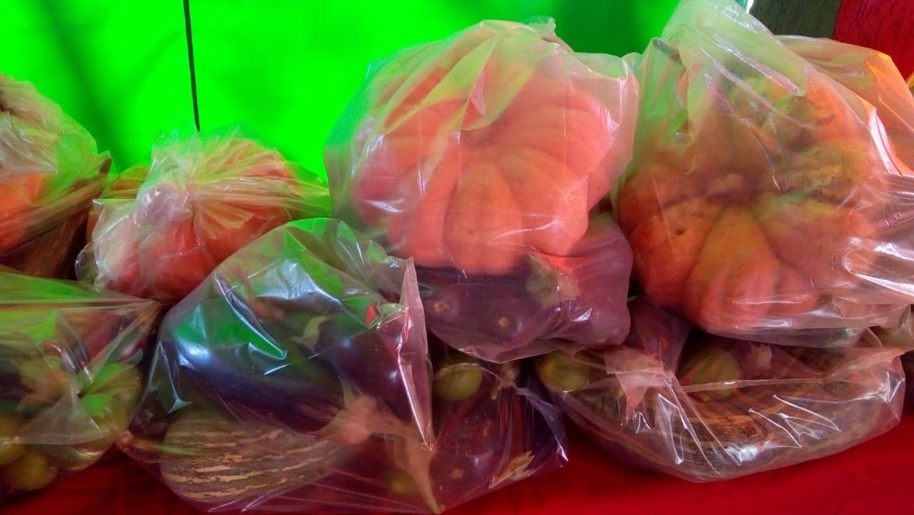 PREFEITA DE CASTILHO ACRESCENTA CESTA  DE LEGUMES E FRUTAS NO VIVA LEITE