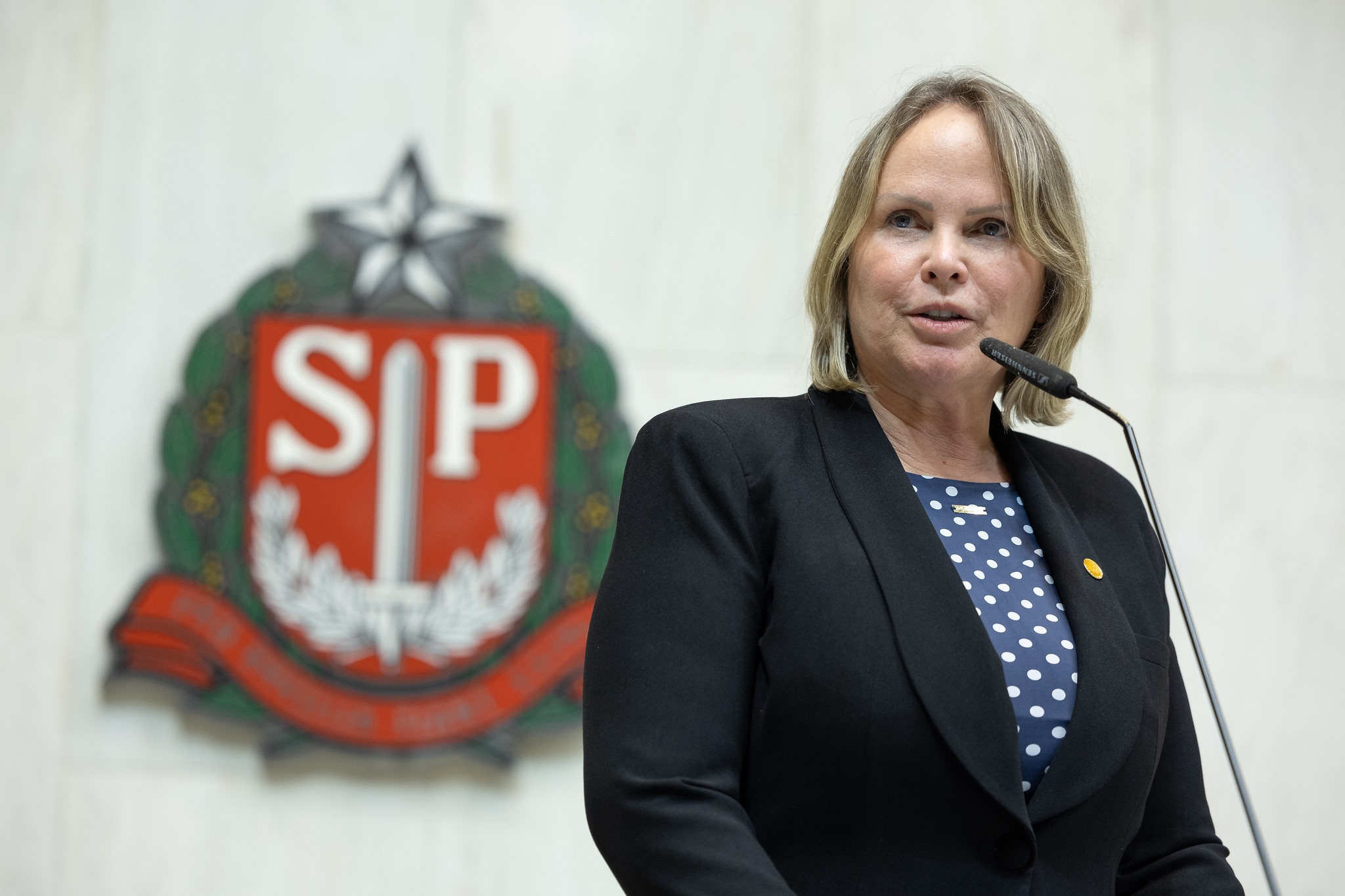 Deputada estadual Ana Perugini visitou Andradina para apoiar candidato