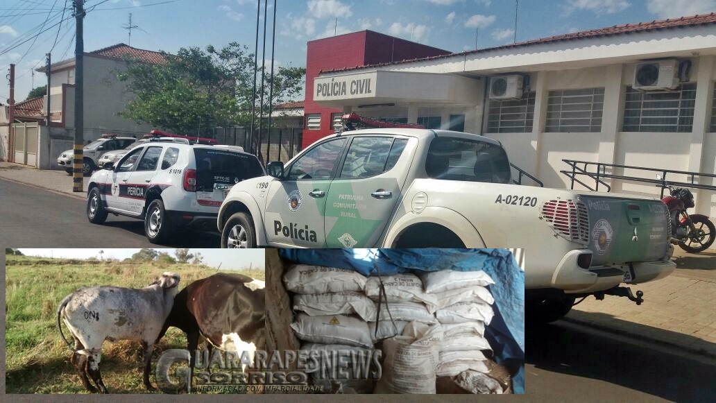 Atividades do Outubro Rosa em Birigui começam sábado (7); confira as variadas ações programadas