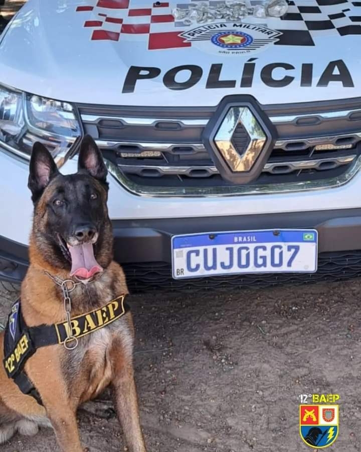 12° BAEP de Araçatuba: APOIO AO POLICIAMENTO DE ÁREA RESULTA EM APREENSÃO DE DROGAS E UM INDIVÍDUO PRESO