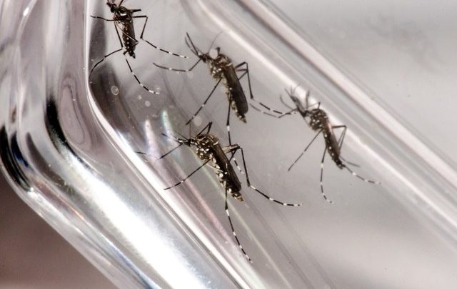 Dengue chega a 2.927 casos suspeitos em Três Lagoas